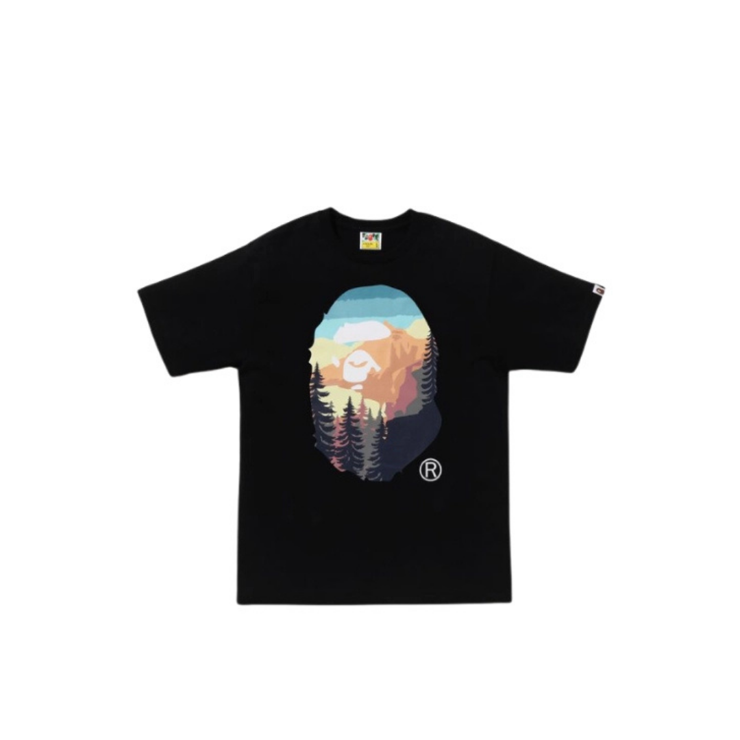 BP64 BLACK