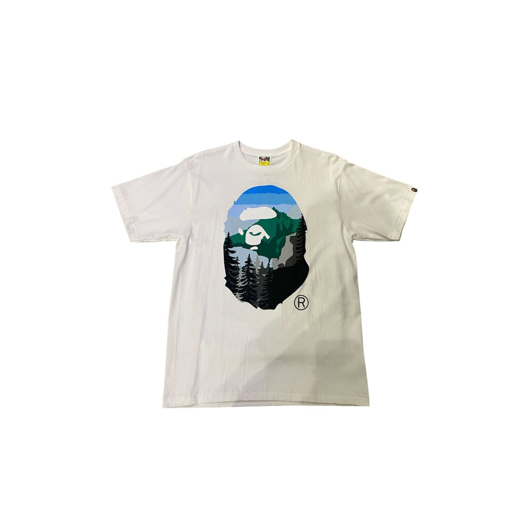 BP64 WHITE