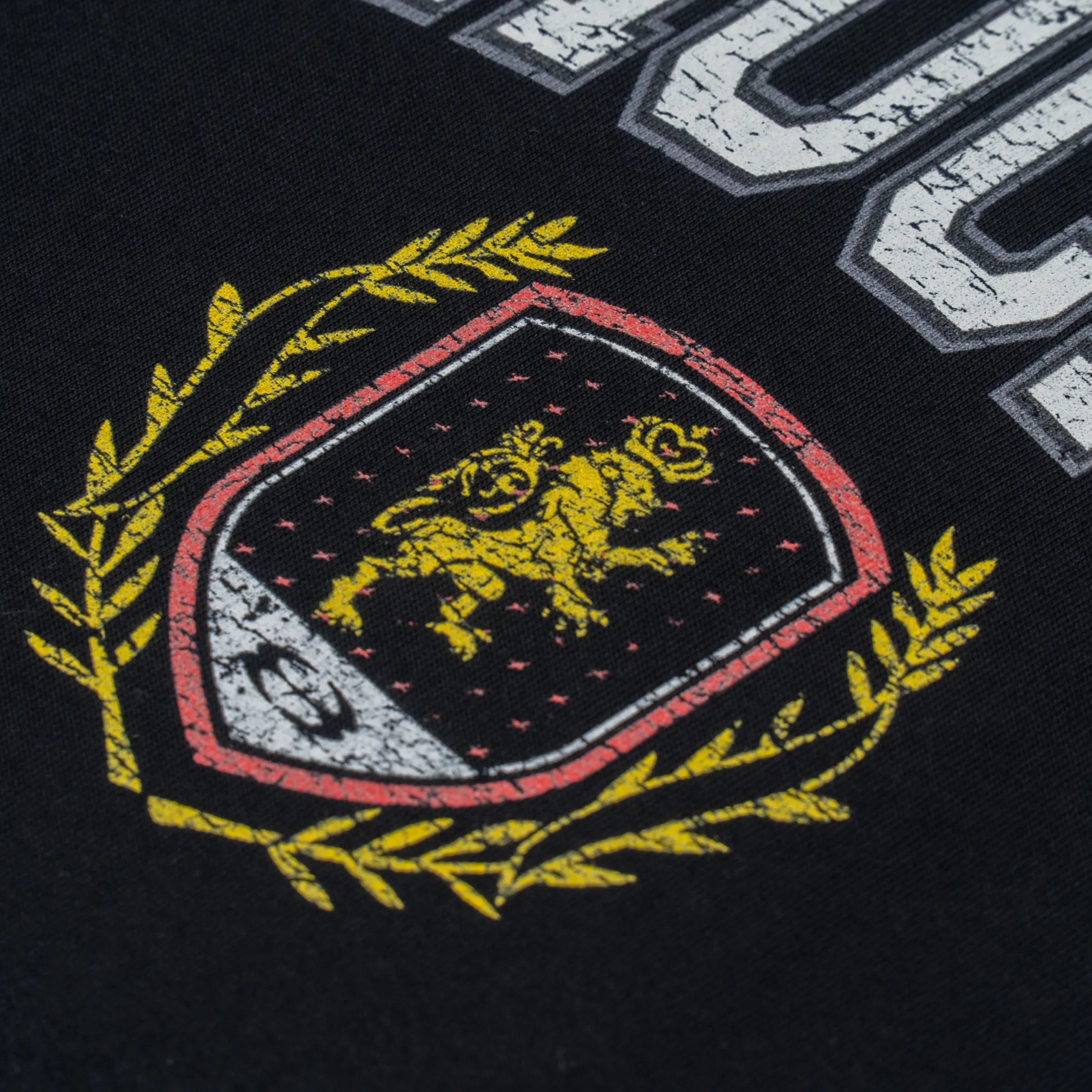 WHOCARES DD VARSITY TEE BLACK