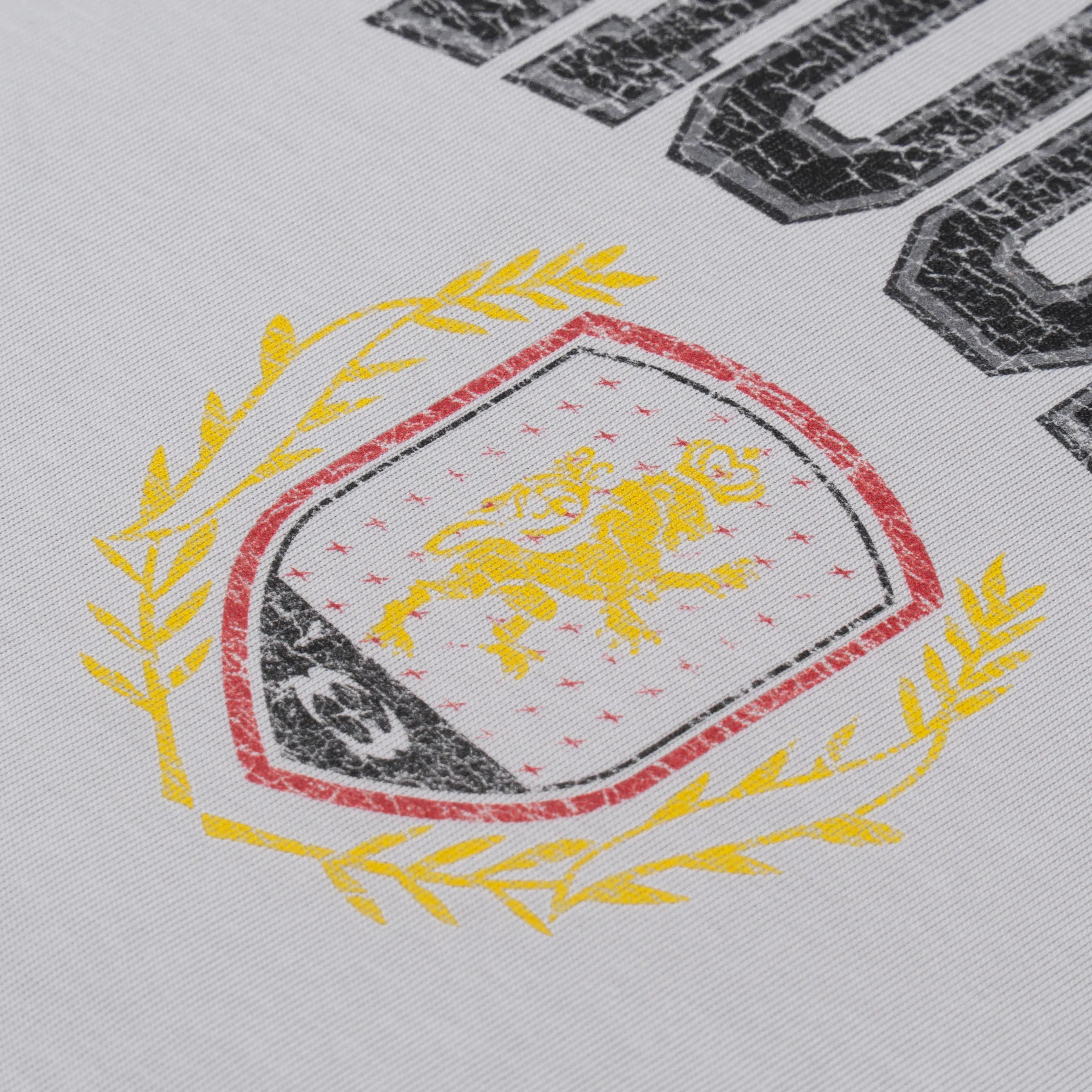 WHOCARES DD VARSITY TEE GREY